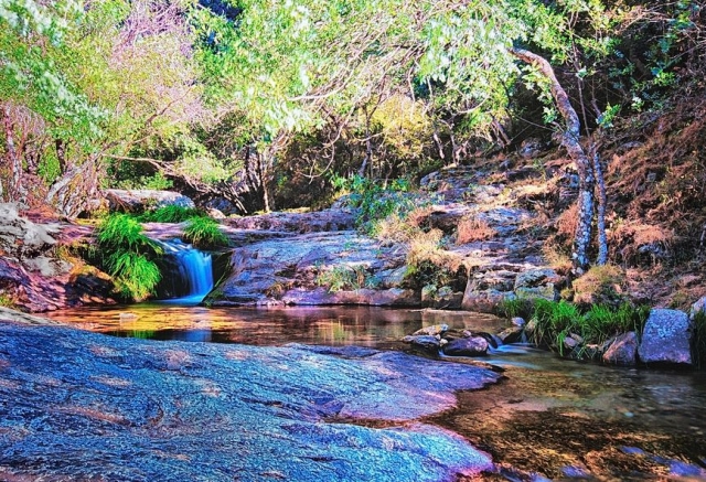 paisaje idilico en rascafria